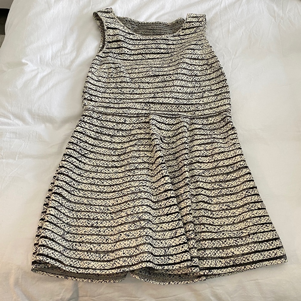 Parker Black and White Striped Fit-and-Flare Mini Dress